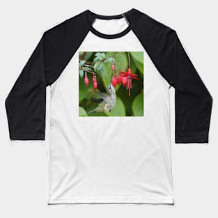 Hummingbird fuchsias Baseball T-Shirt